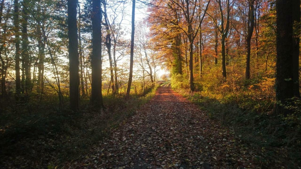 Petit Bonheur Villa Oudenaarde Exteriör bild