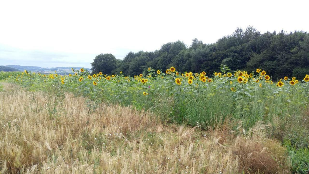 Petit Bonheur Villa Oudenaarde Exteriör bild